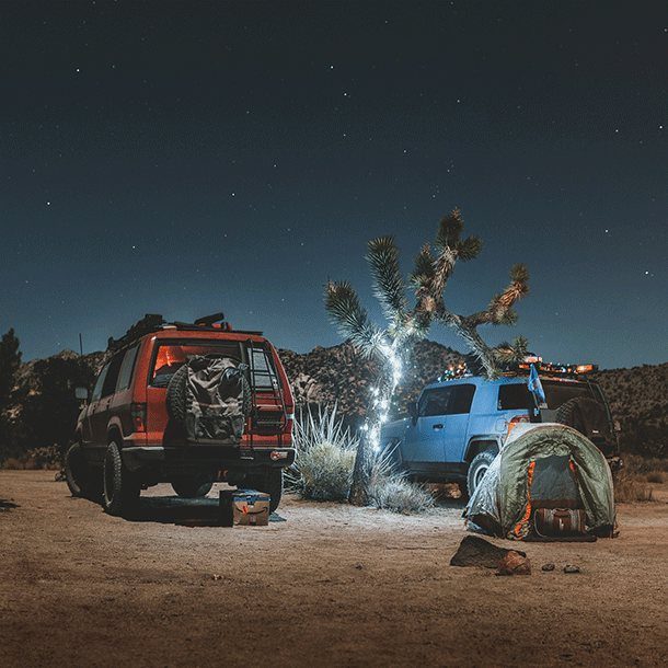 Camp at night under a Joshua tree