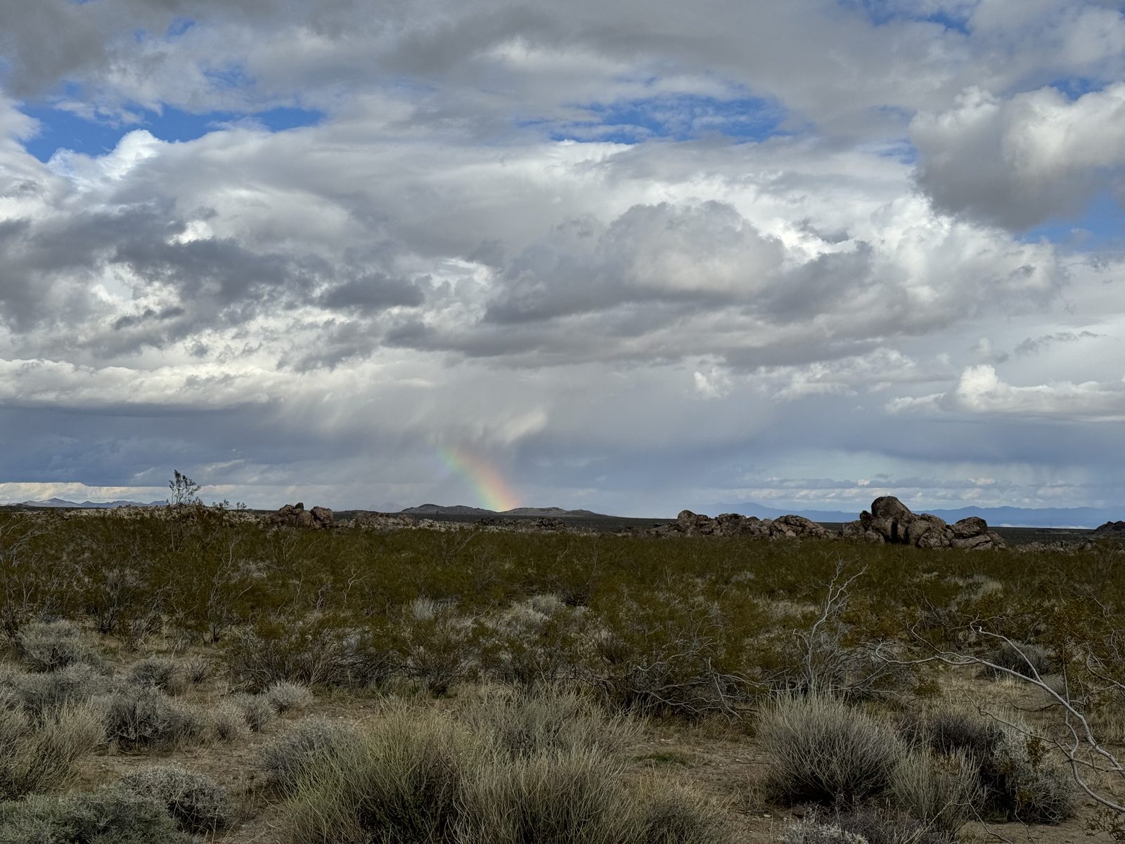 A rainbow over the desert after rain