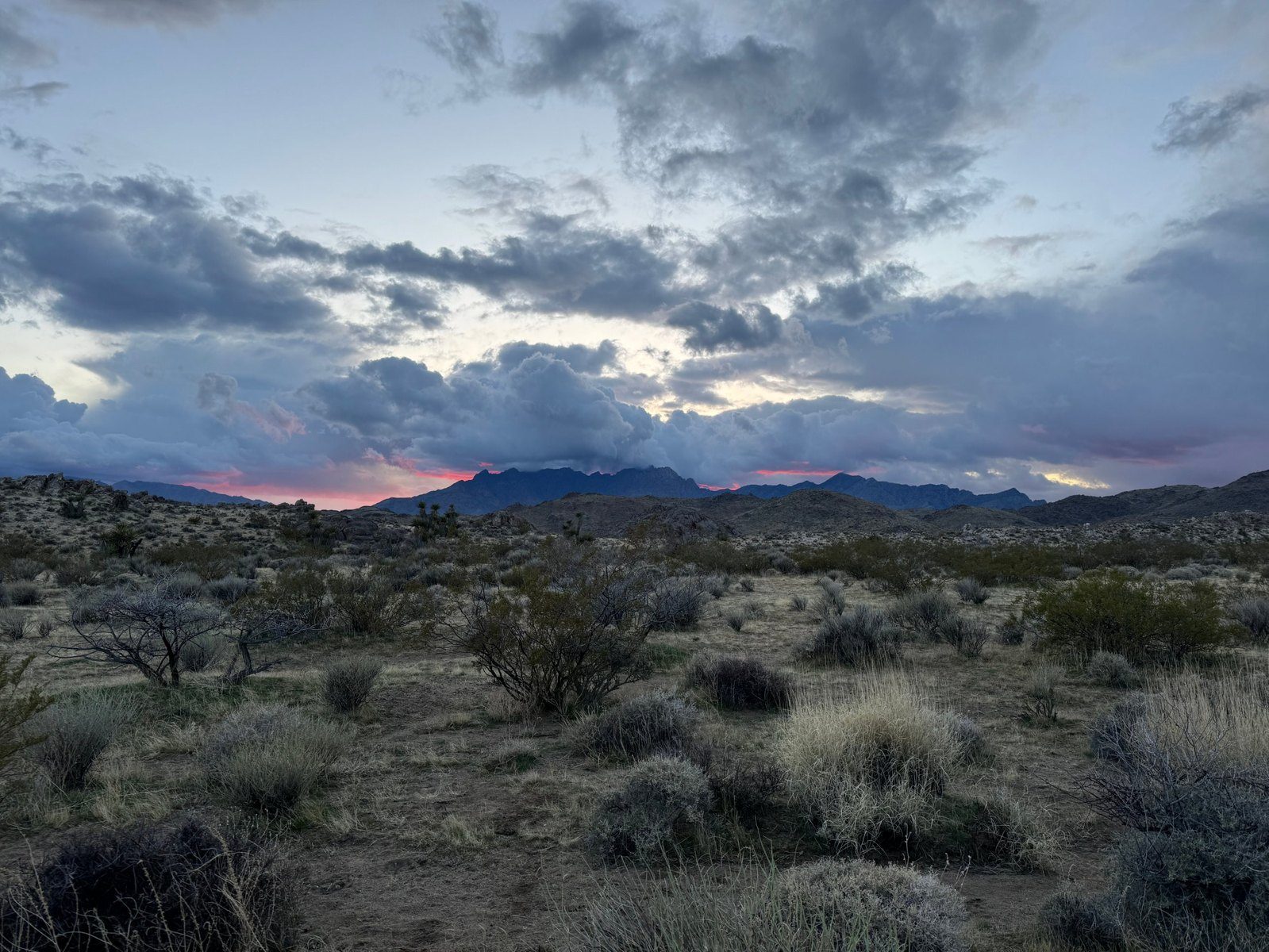 Storm light over the range at dusk
