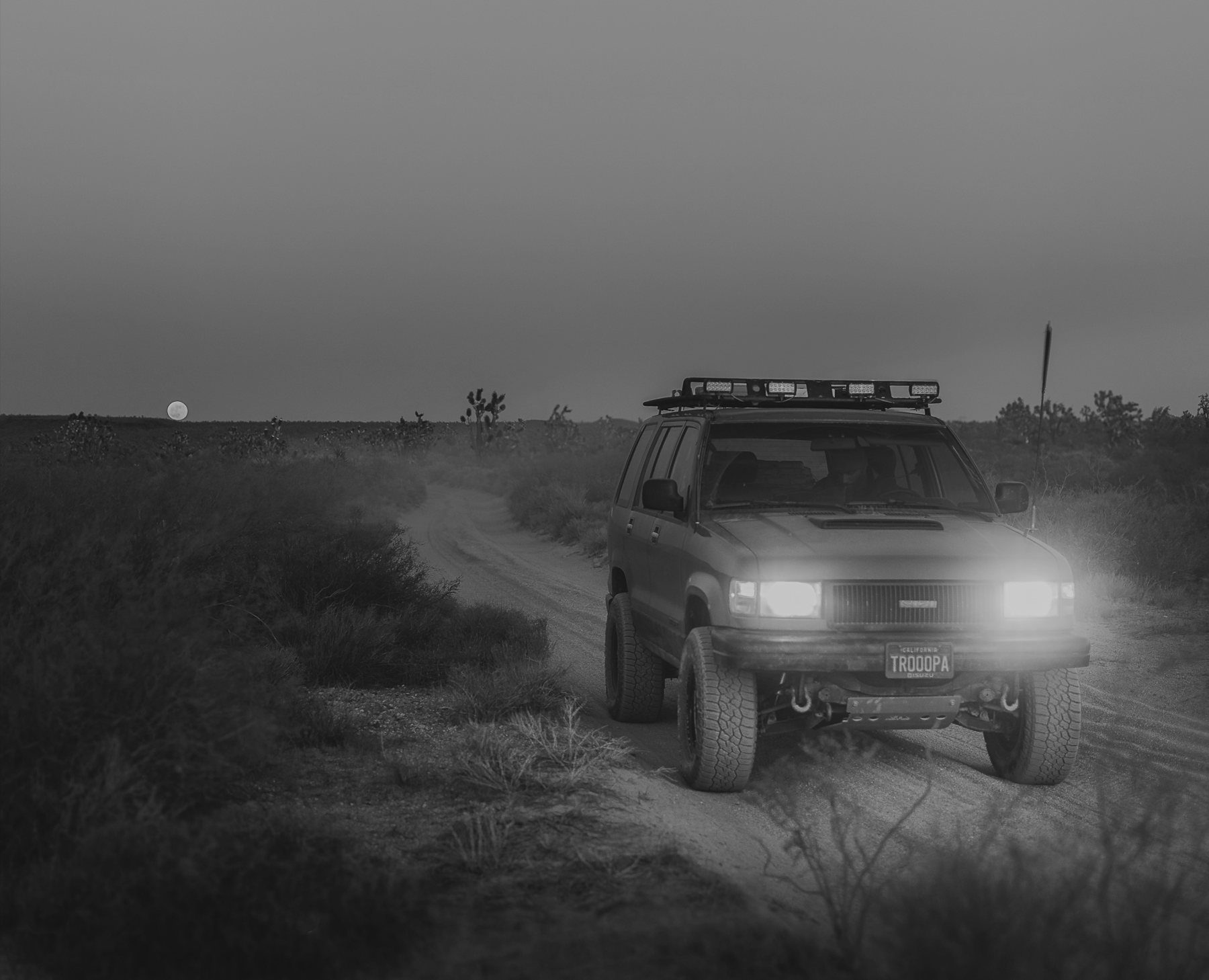 Trooper at night, black and white